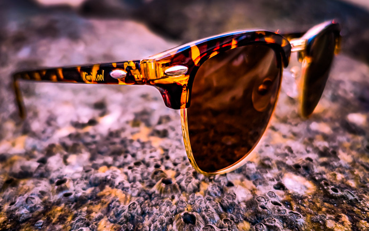 "Monte Carlo"- Polarized Club Master Style Tortoise Browline Sunglasses