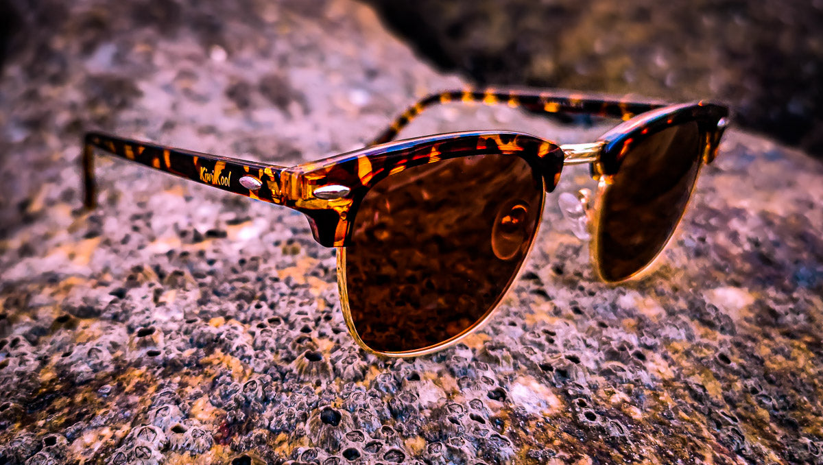 "Monte Carlo"- Polarized Club Master Style Tortoise Browline Sunglasses