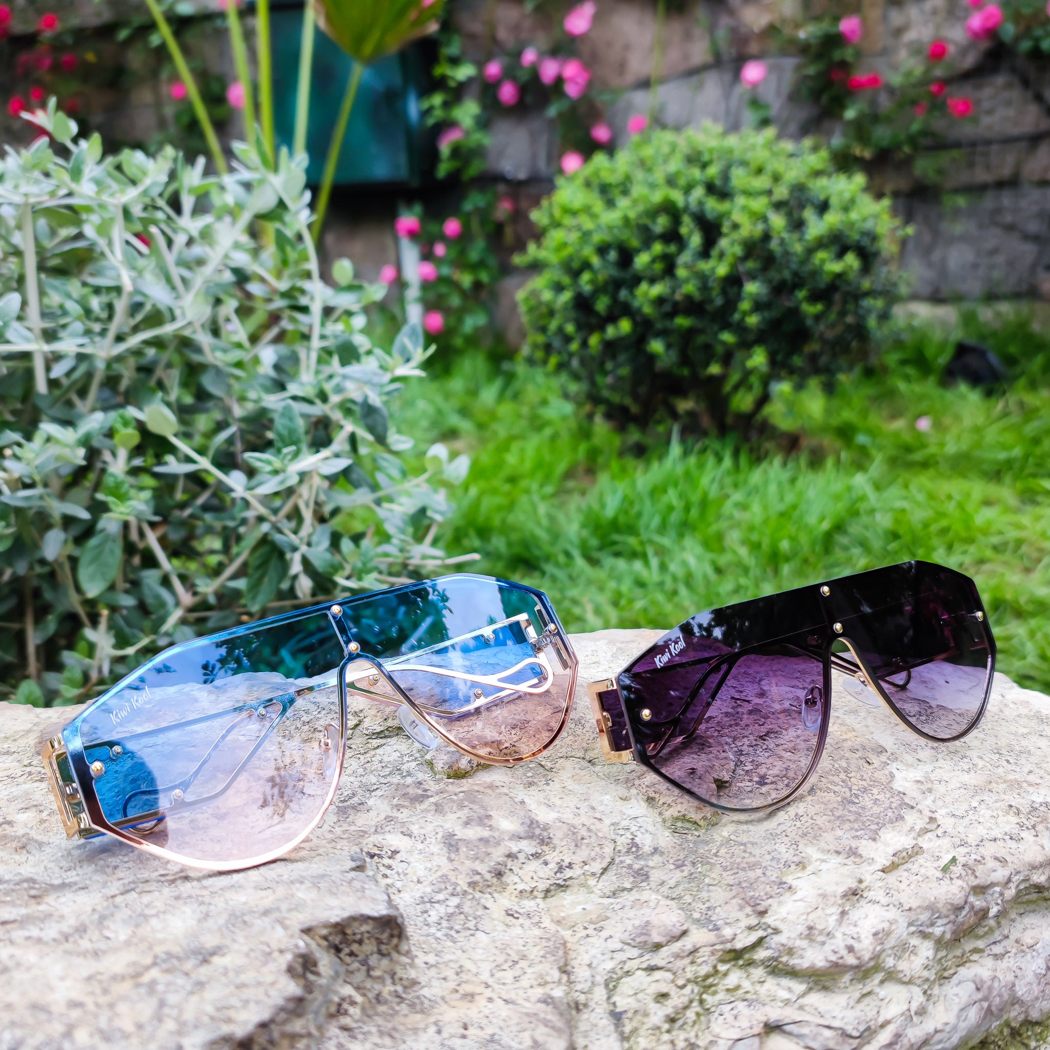 Kiwi Kool designer sunglasses for women